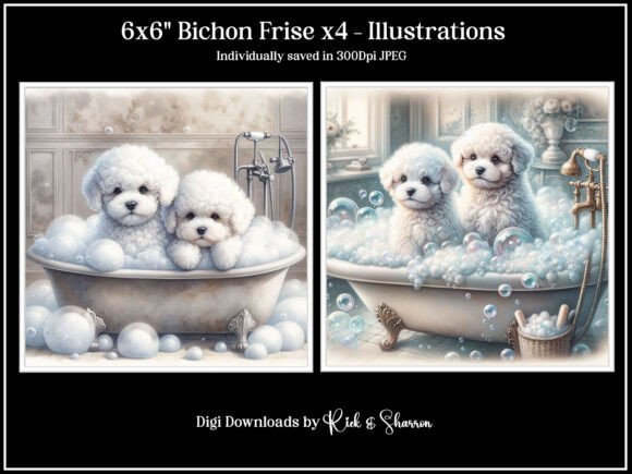 Evaluating Bichon Frise Puppies X4 Illustrations for Creative and Commercial Projects