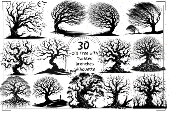 Twisted Tree Silhouettes Ancient Forest: Nature's Art in a Changing World